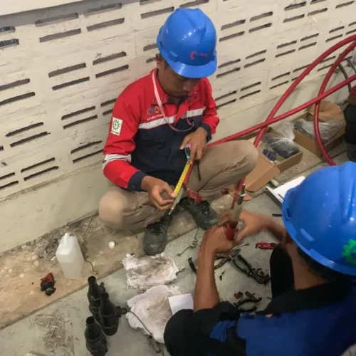 Jasa Elastimold Replacement